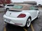 2019 Volkswagen Beetle Convertible 2.0T Final Edition SEL