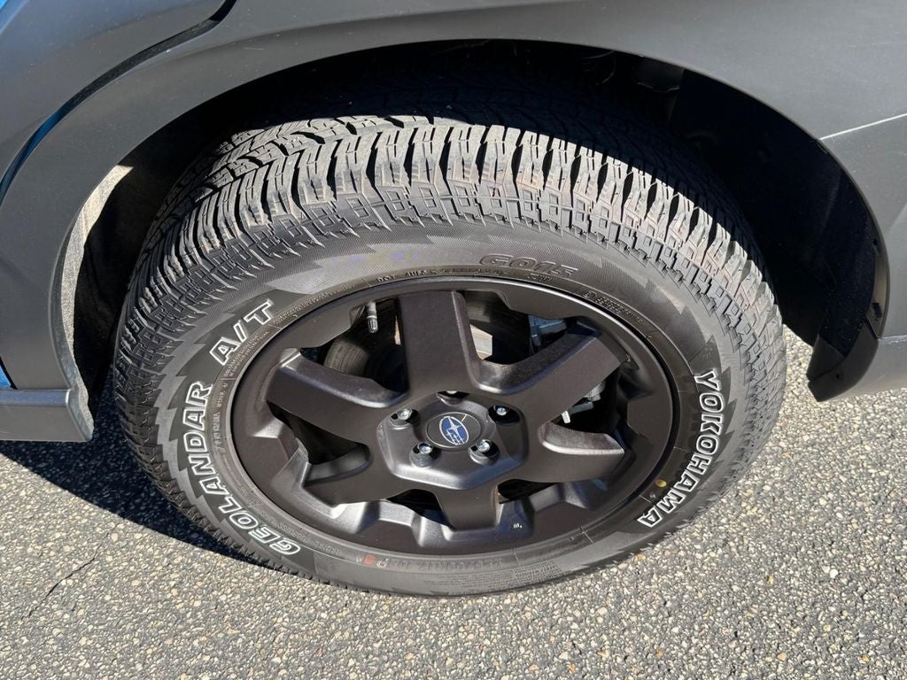 2025 Subaru Outback Wilderness