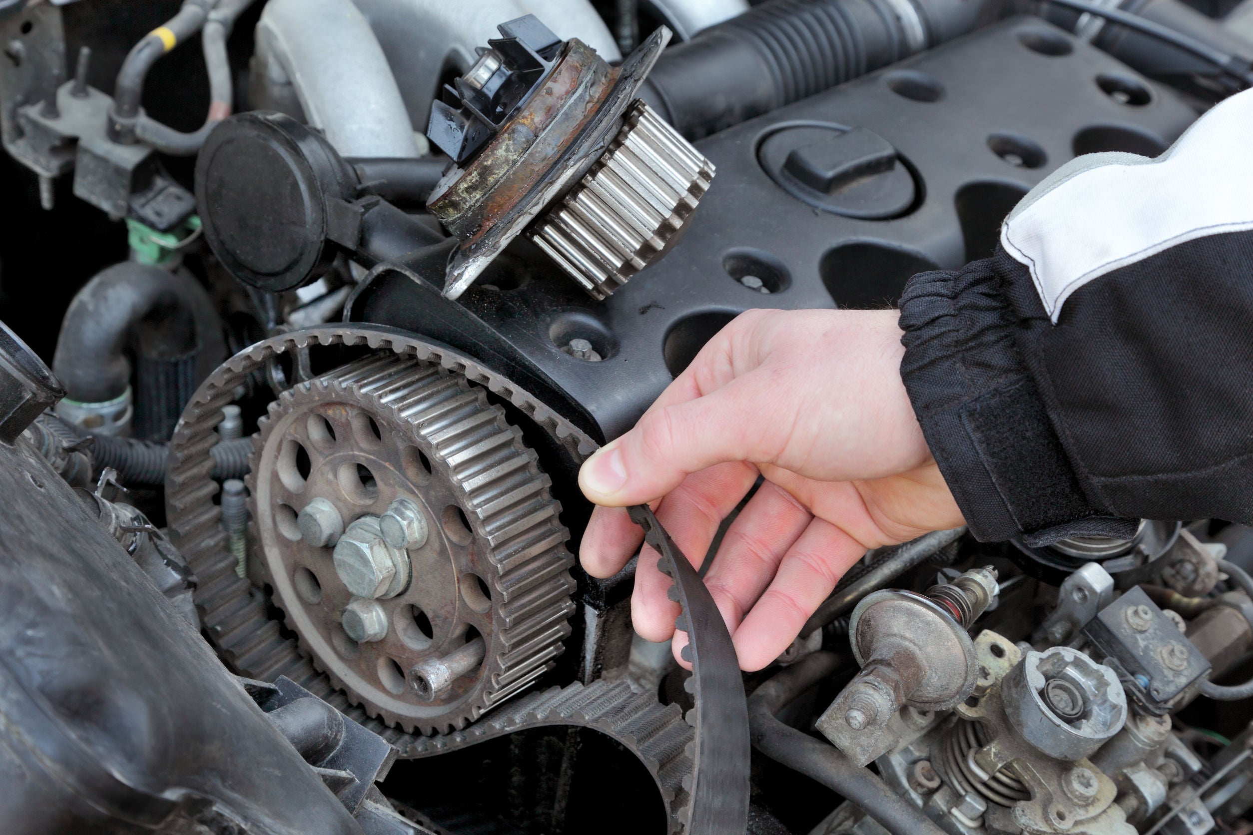 Timing Belt Service Special